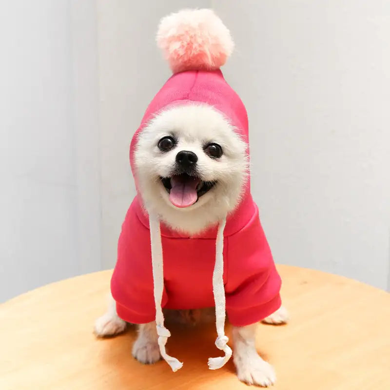 Pet Hoodie