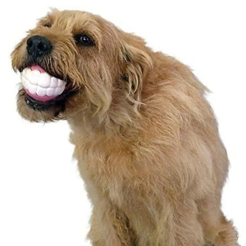 Pet Ball with Teeth Silicon Chew Toys for Large Breeds