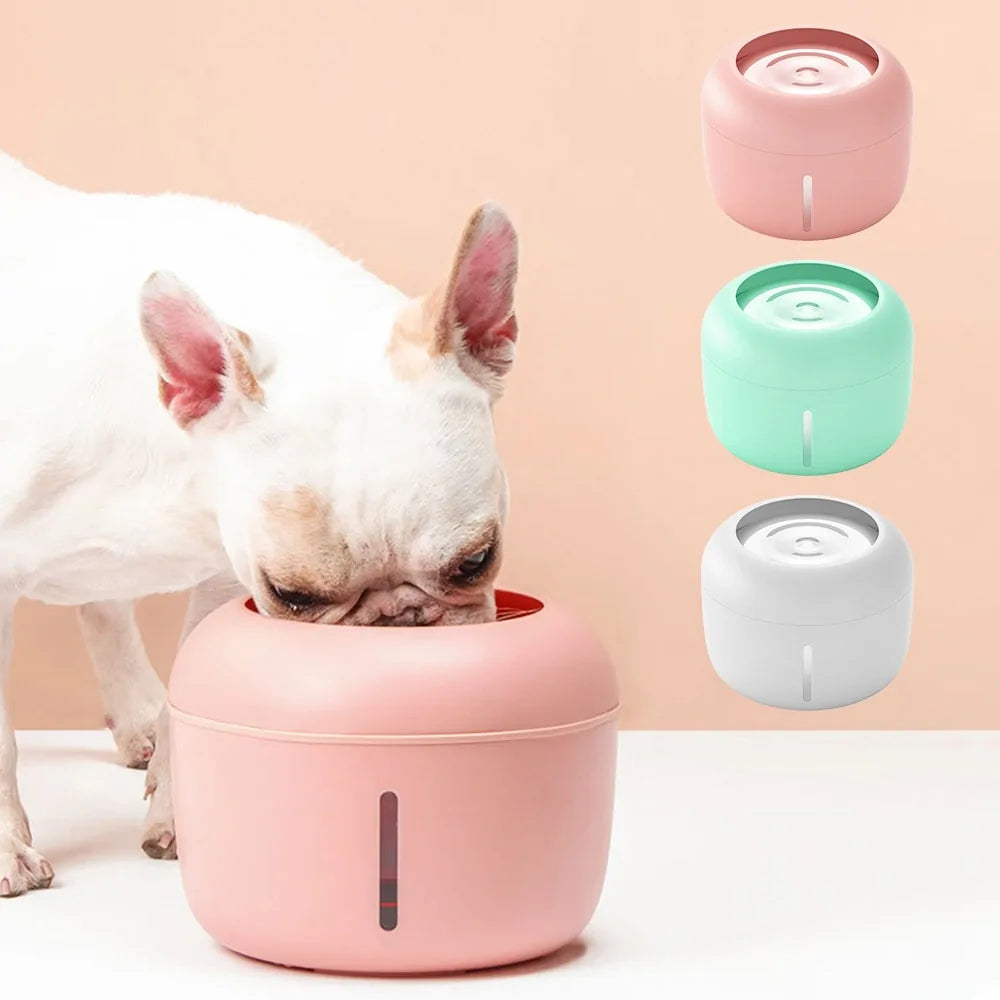 Pet Drinking Fountain with pump and filter