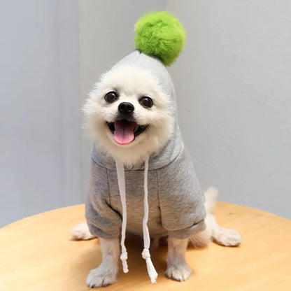 Pet Hoodie