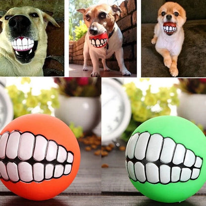 Pet Ball with Teeth Silicon Chew Toys for Large Breeds